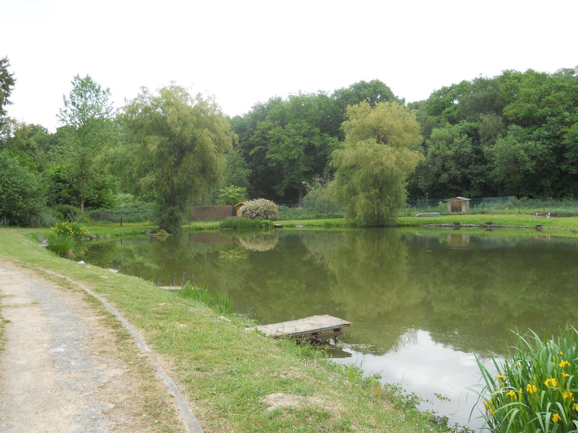 Le Relais De La Haute Sambre Lobbes Dış mekan fotoğraf
